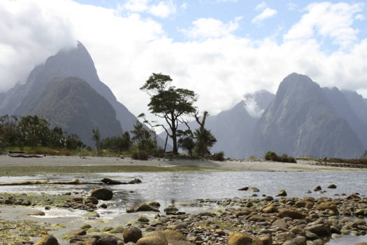 Mardi Gras (Amerika) - Milford sounds beauty