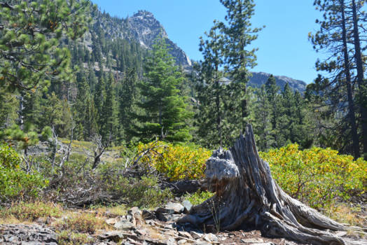 Lake Tahoe - Where old life ends - new begins.