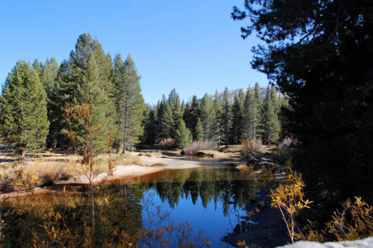 Yosemite National Park - Mirror in the water