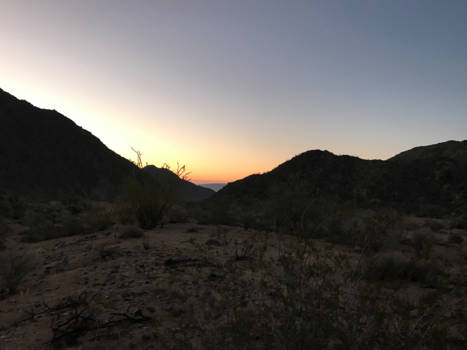 California - Joshua tree nat. Park sun rise