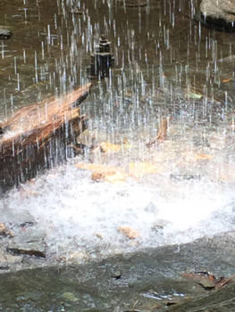 North Carolina - Pisgah waterfalls, Brevard
