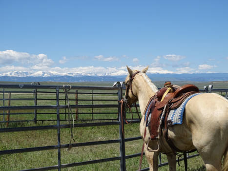 Wyoming - Tussen de cowboys
