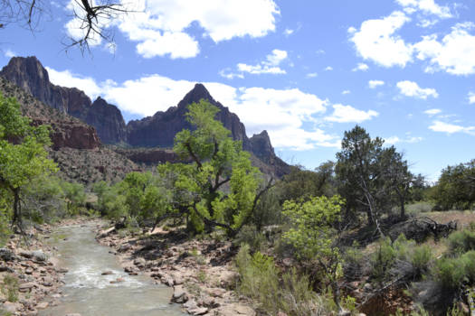 Zion National Park - Virgin River