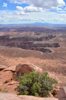 Utah - Canyonland National Park, Utah.