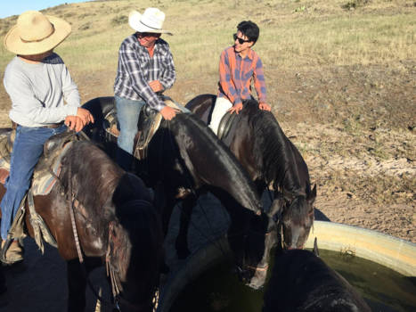 California - Break time