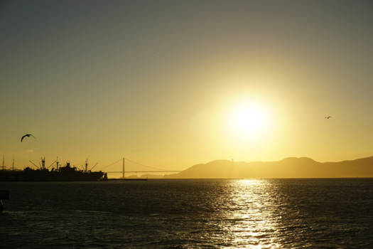 Golden Gate Bridge - Zonsondergang in San Fransisco