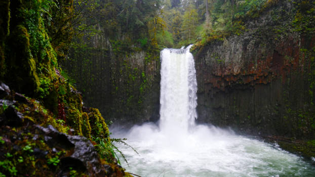 Oregon - A muddy hike through the rain led us to Abiqua Falls.