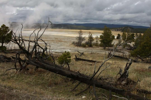 Yellowstone National Park - Finding my way