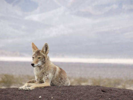 Death Valley National Park