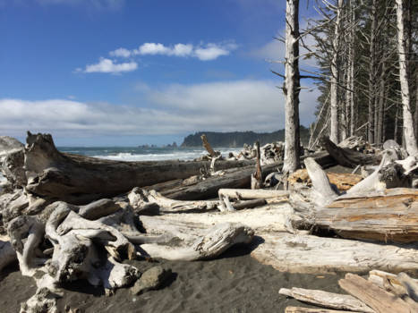 The Great Northern Route - Sikiu aan de north pacific oceaan in Washington State.