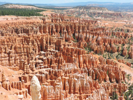 Rondreis Westkust Amerika - Bryce