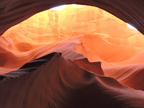 Rondreis Westkust Amerika - Lower Antelope