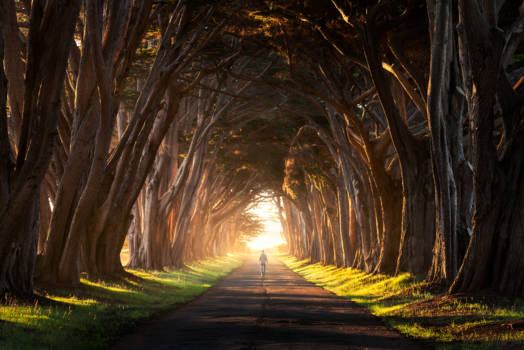 San Francisco - Tunnel naar de Hemel