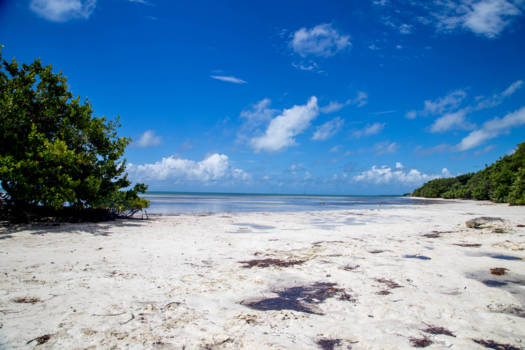 Florida Keys - Paradise