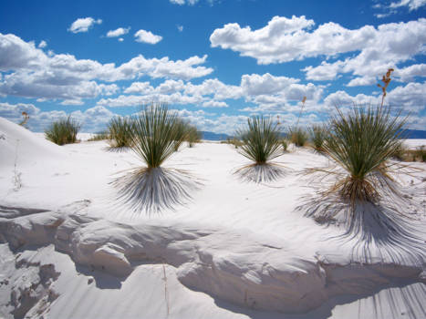 New Mexico - Een geweldig stuk natuur White Sands in New Mexico