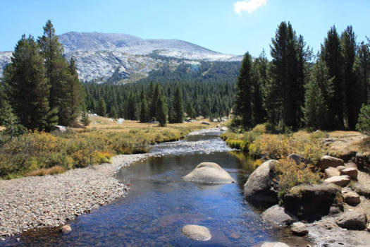 Yosemite National Park - Solitude in nature at Yosemite National Park