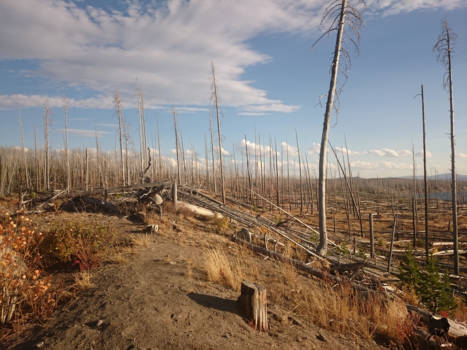 Yellowstone National Park - Fire Hazard