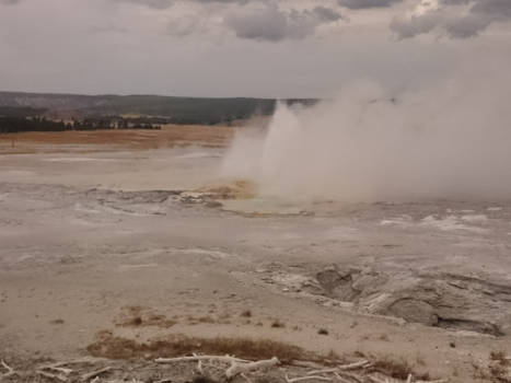 Yellowstone National Park - Norris Geyser