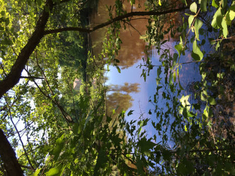 Georgia - Pond in the suburb