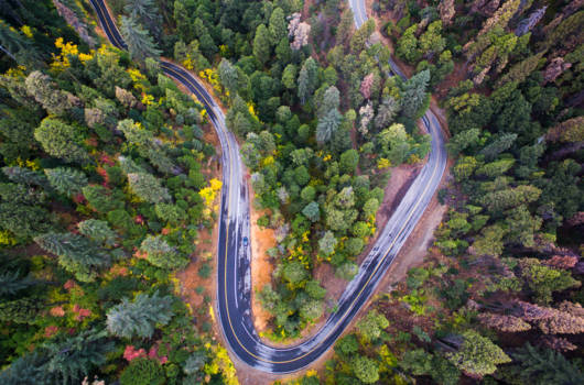 Sequoia en Kings Canyon National Park - The long and winding road to Sequoia & Kings Canyon National Park