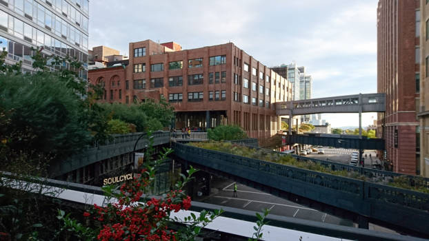 New York - Nature and the city in harmony