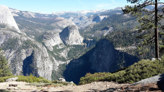 Yosemite National Park - groots