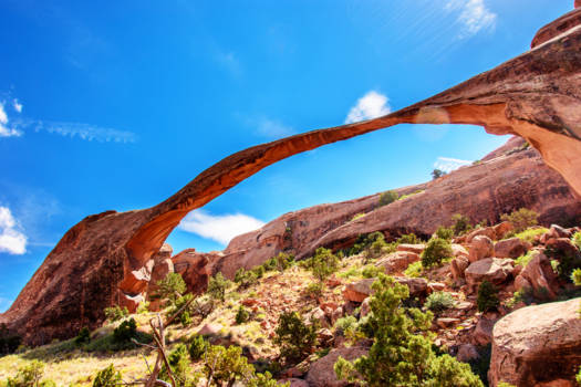 Yellowstone National Park - The Arches