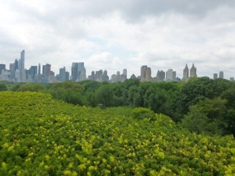 New York - Big apple green heart