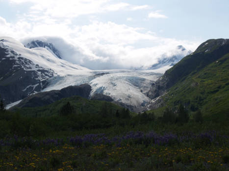 Rondreis Alaska - Glenn Highway view Wortington Glacier