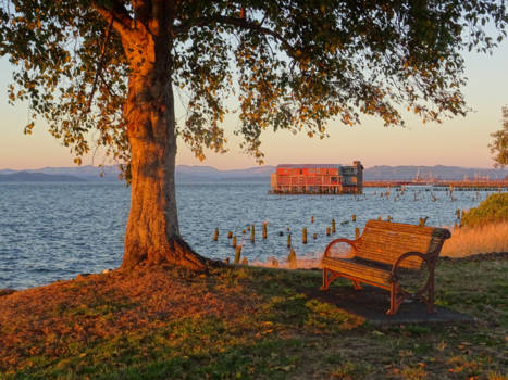 Oregon - Rust, in mezelf en om me heen!