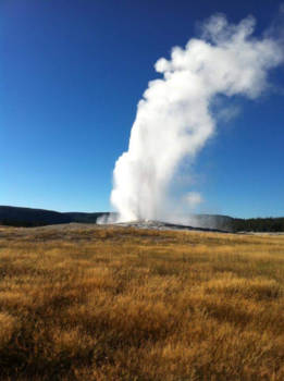 Yellowstone National Park - The old faithfull