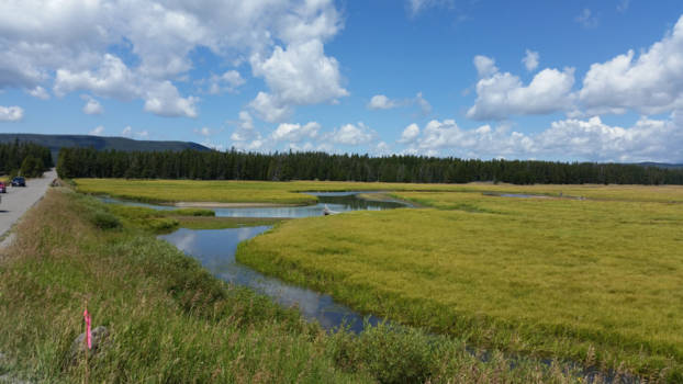 Yellowstone National Park