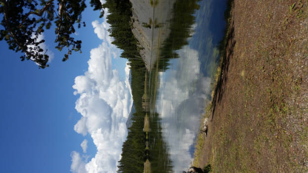 Yellowstone National Park