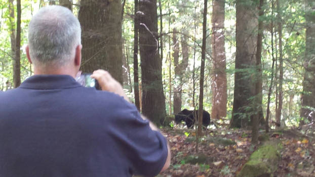 North Carolina - Wildlife