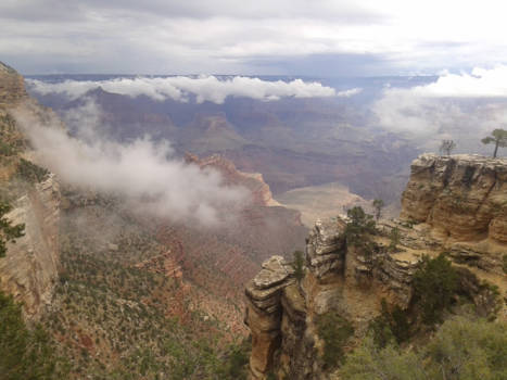 American Museum of Natural History - Magic