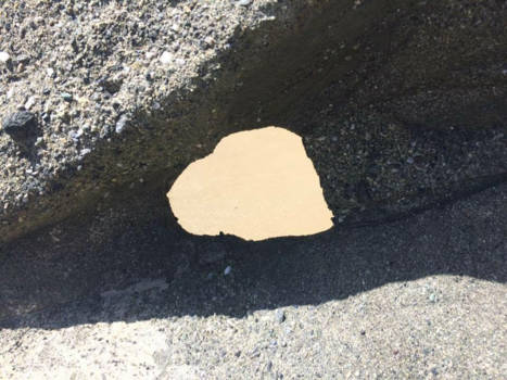 Laguna beach en Manhattan beach - Nature