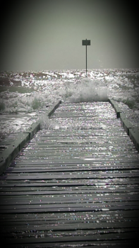 Venice Beach - Walk on