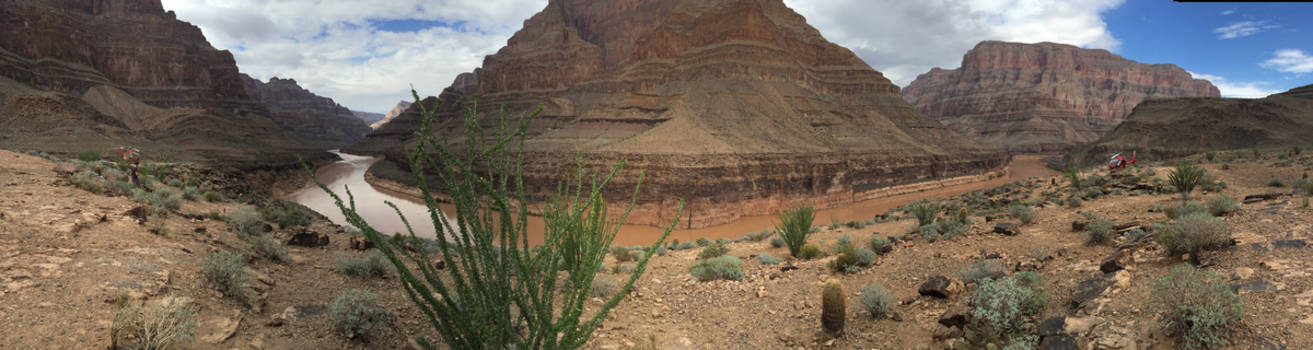 Arizona - grand canyon
