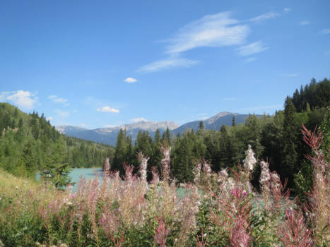 Rocky Mountains - Highway 16 op z´n best