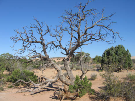 Utah - Monument Valley