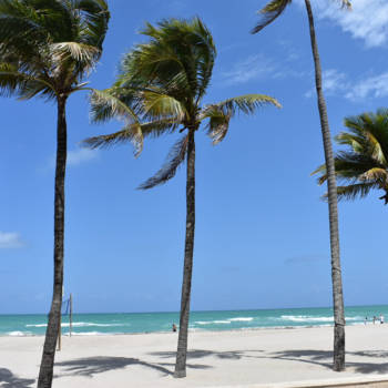 Florida - Beach life