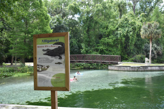 Florida - Zin om te zwemmen?