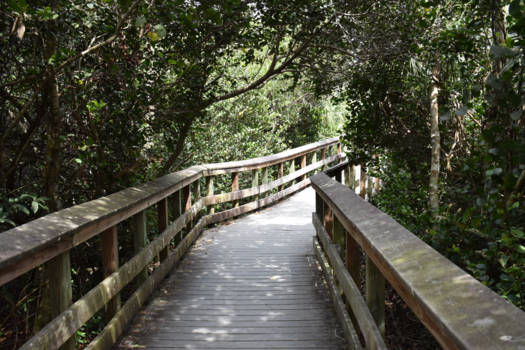 Florida - Brug naar het onbekende
