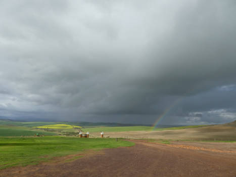 North Carolina - Dreiging of geluk ?