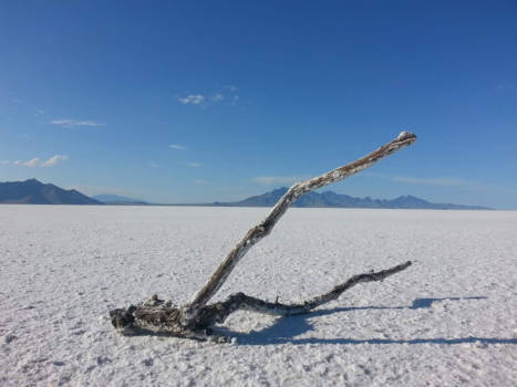 Salt Lake City - Isolation