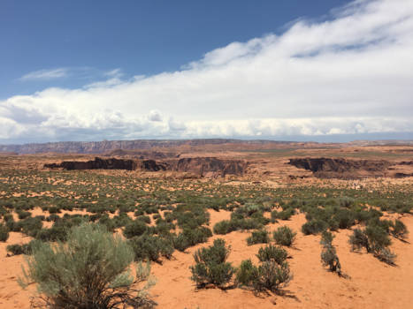 Arizona - Horseshoe bend onder de oppervlakte verscholen hier.