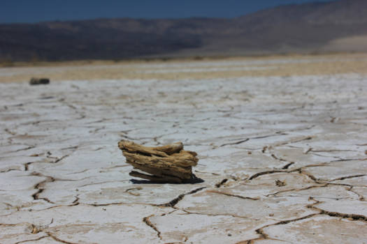 Death Valley National Park - Zonder titel