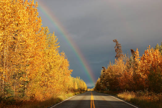 Alaska - alle kleuren van de regenboog
