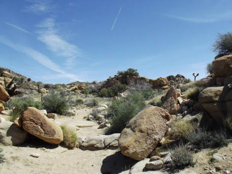 California - Joshua Tree National Park