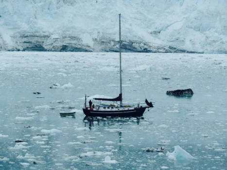 Denali National Park - Alaska... iceberg straight ahead!!